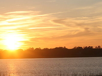 Ashley River Ashley River